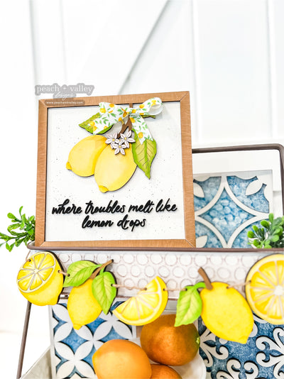 Large Lemon Drops Sign Blanks