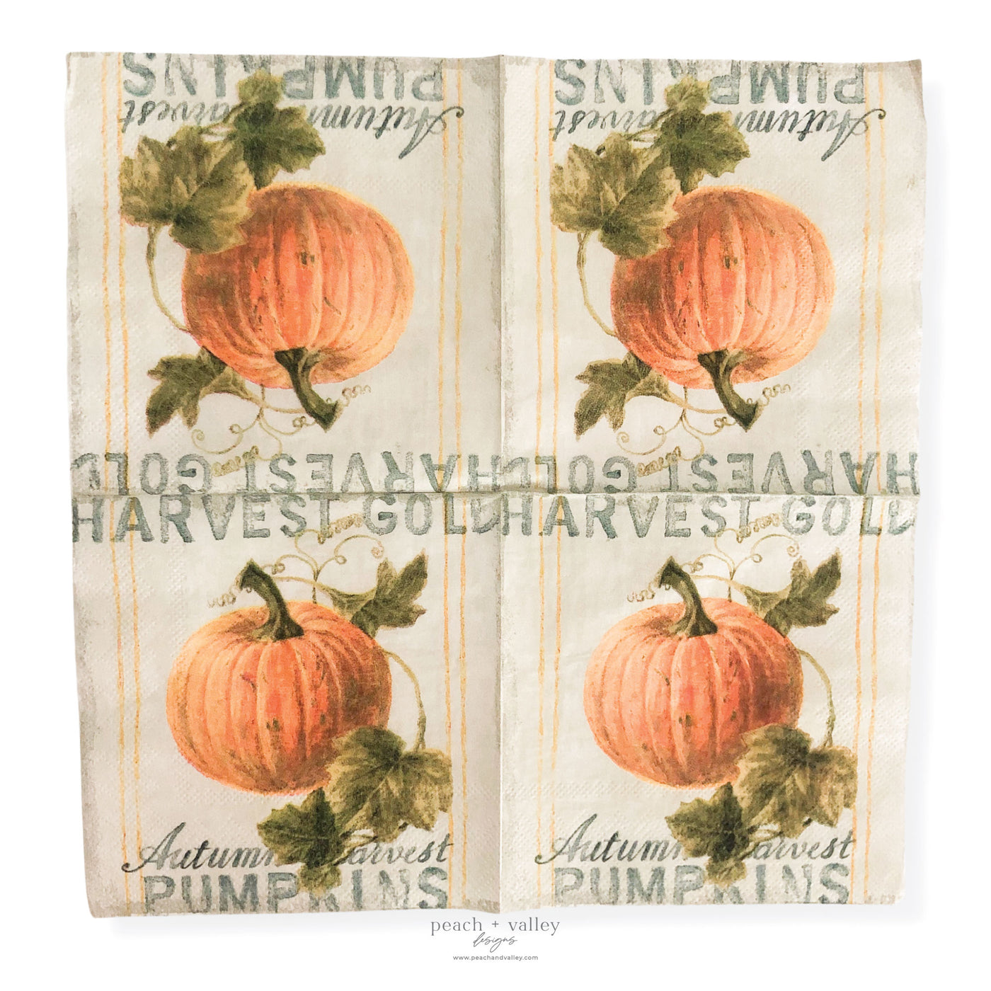Harvest Pumpkins Cocktail Napkin