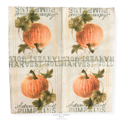 Harvest Pumpkins Cocktail Napkin