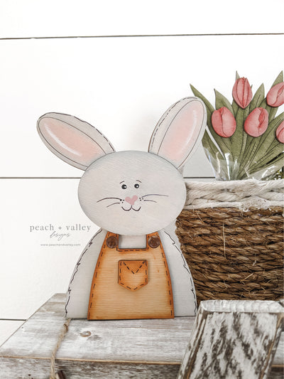 Easter Bunny Boy Blank