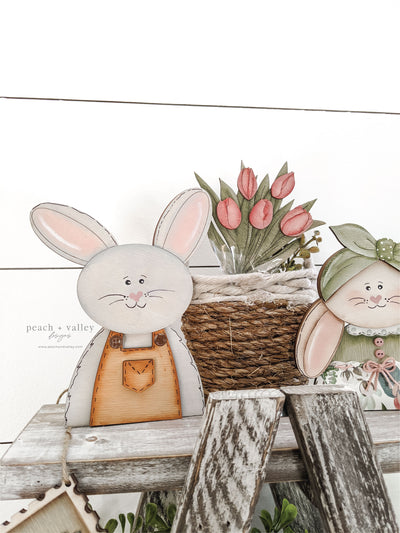 Easter Bunny Set Blanks