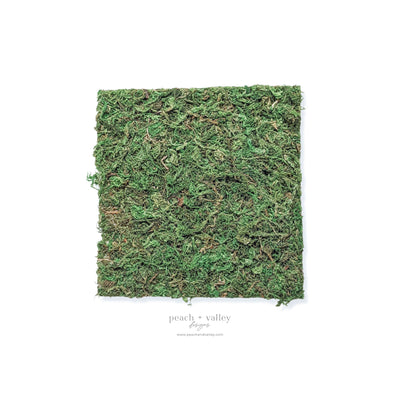 Moss Sheet Square